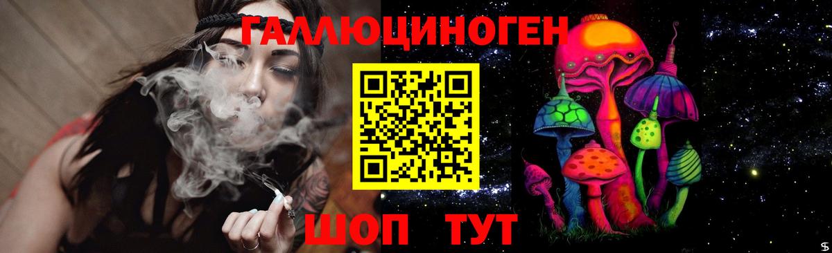 Псилоцибиновые грибы Cubensis Фролово